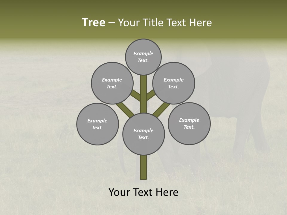 Grande Safari Elefante PowerPoint Template