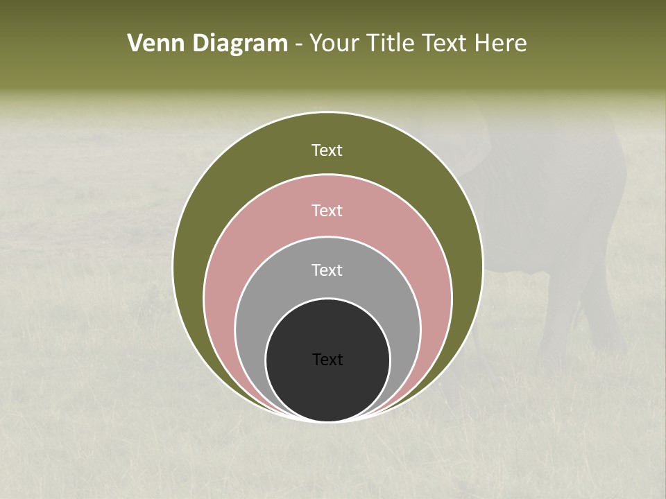 Grande Safari Elefante PowerPoint Template
