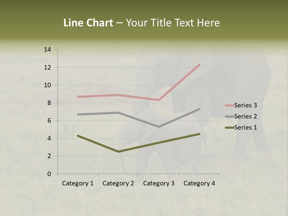 Grande Safari Elefante PowerPoint Template