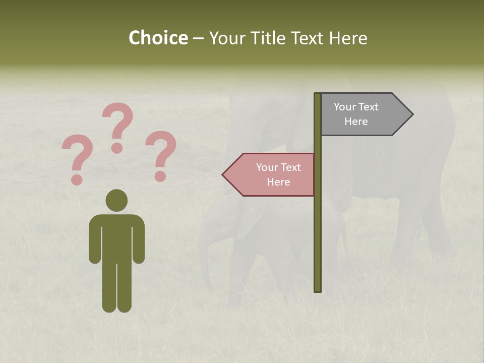 Grande Safari Elefante PowerPoint Template