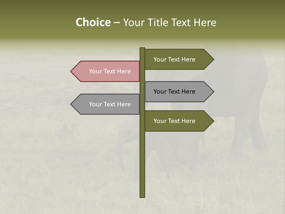 Grande Safari Elefante PowerPoint Template