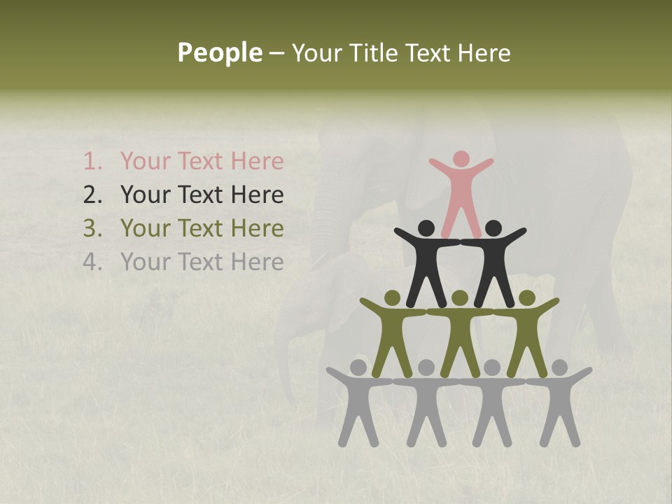 Grande Safari Elefante PowerPoint Template