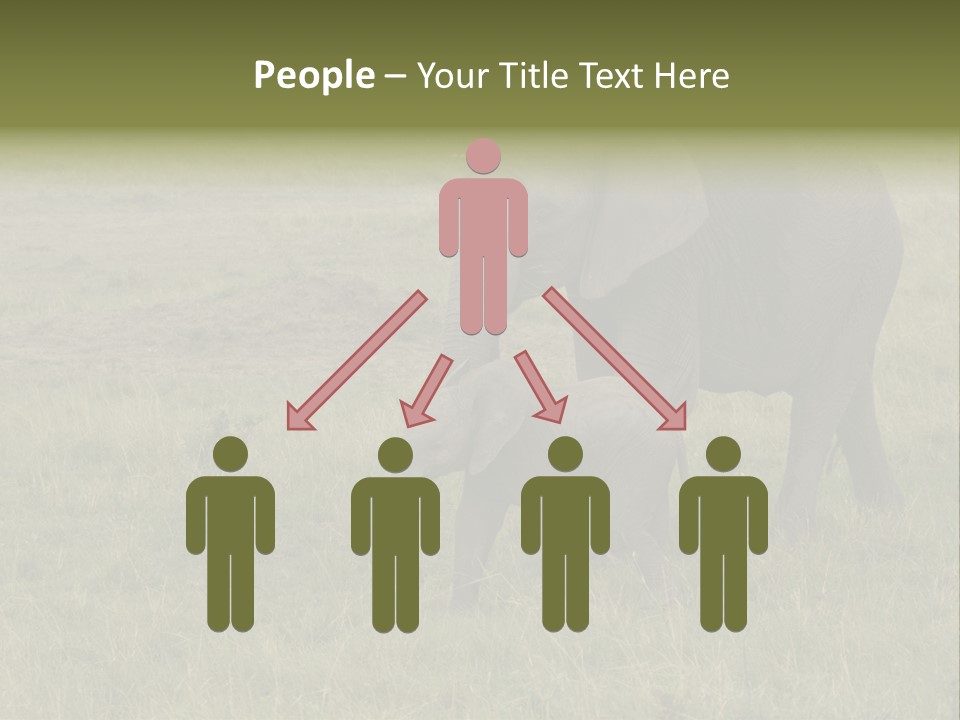 Grande Safari Elefante PowerPoint Template