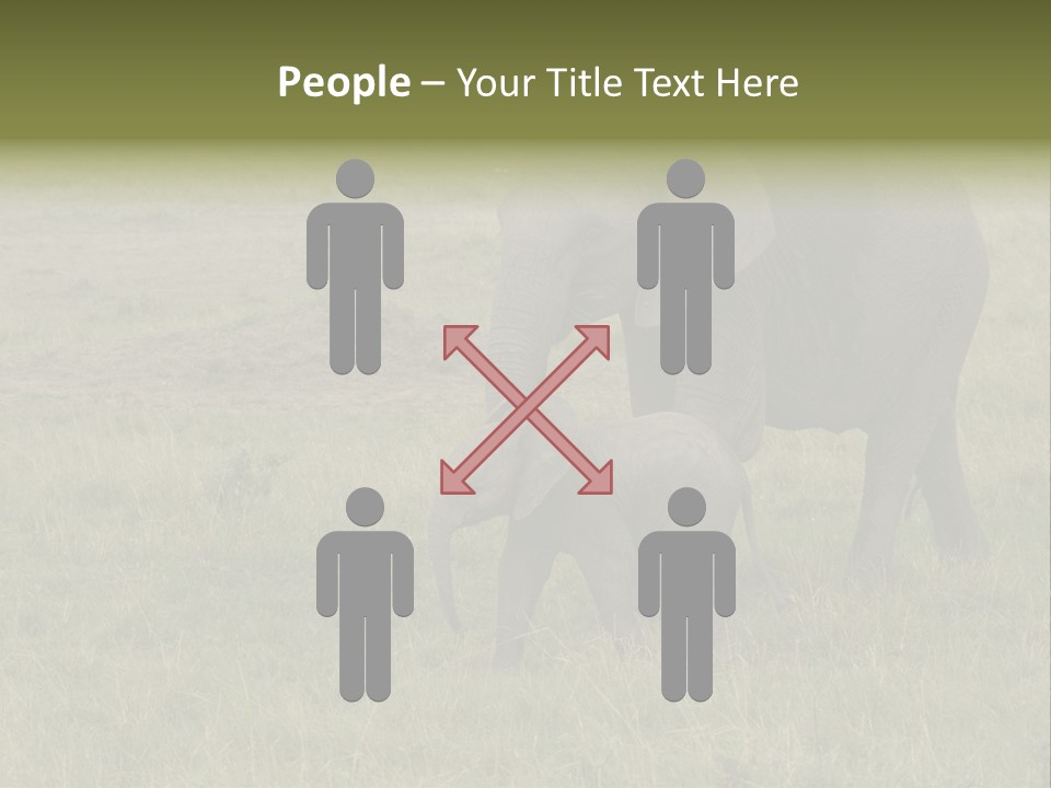 Grande Safari Elefante PowerPoint Template