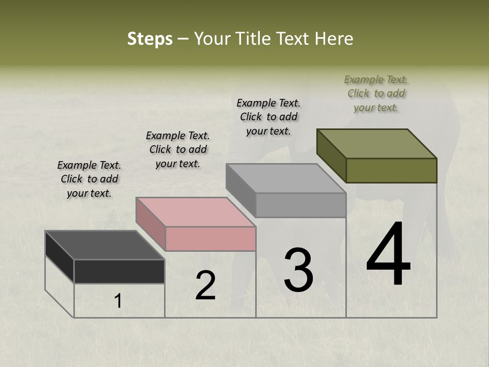 Grande Safari Elefante PowerPoint Template