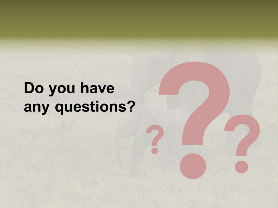 Grande Safari Elefante PowerPoint Template