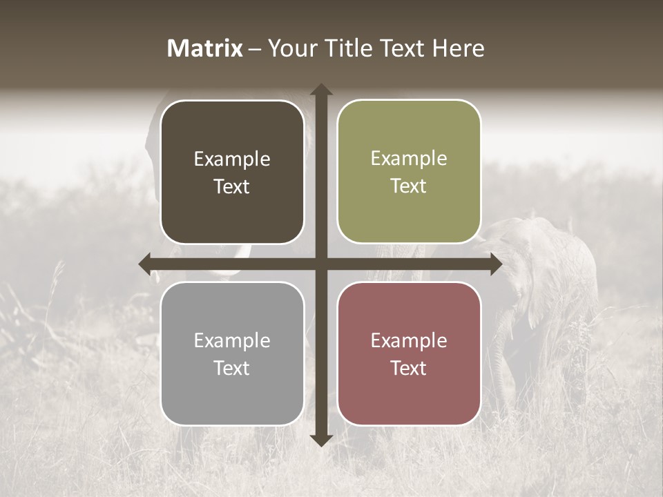 Mammifero Seppia Avorio PowerPoint Template