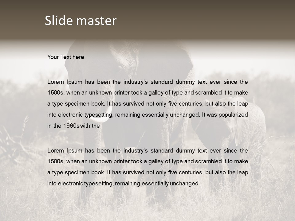 Mammifero Seppia Avorio PowerPoint Template