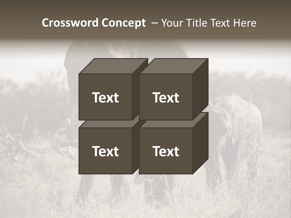 Mammifero Seppia Avorio PowerPoint Template