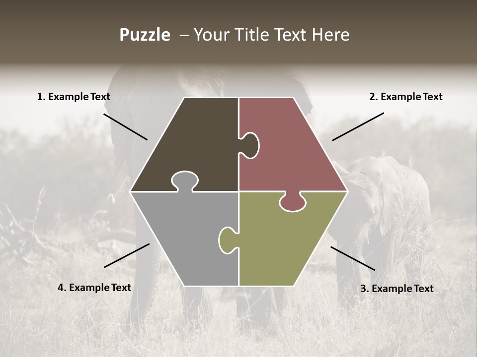 Mammifero Seppia Avorio PowerPoint Template