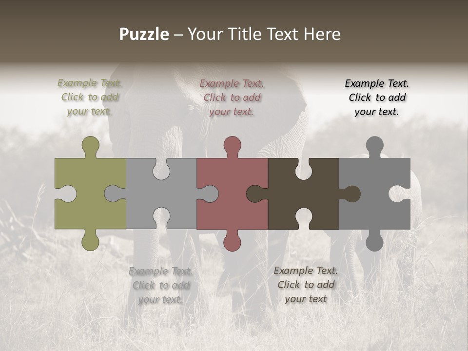 Mammifero Seppia Avorio PowerPoint Template