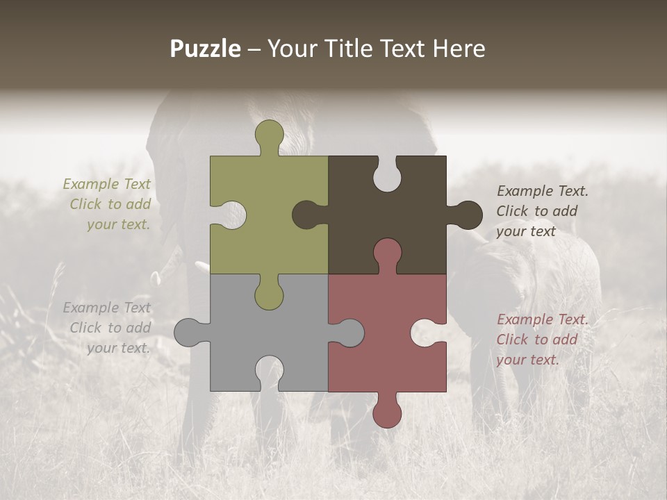 Mammifero Seppia Avorio PowerPoint Template