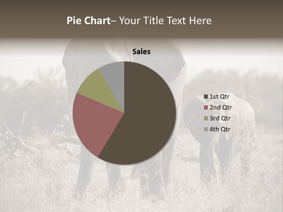 Mammifero Seppia Avorio PowerPoint Template