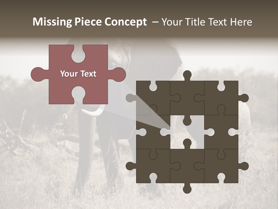 Mammifero Seppia Avorio PowerPoint Template