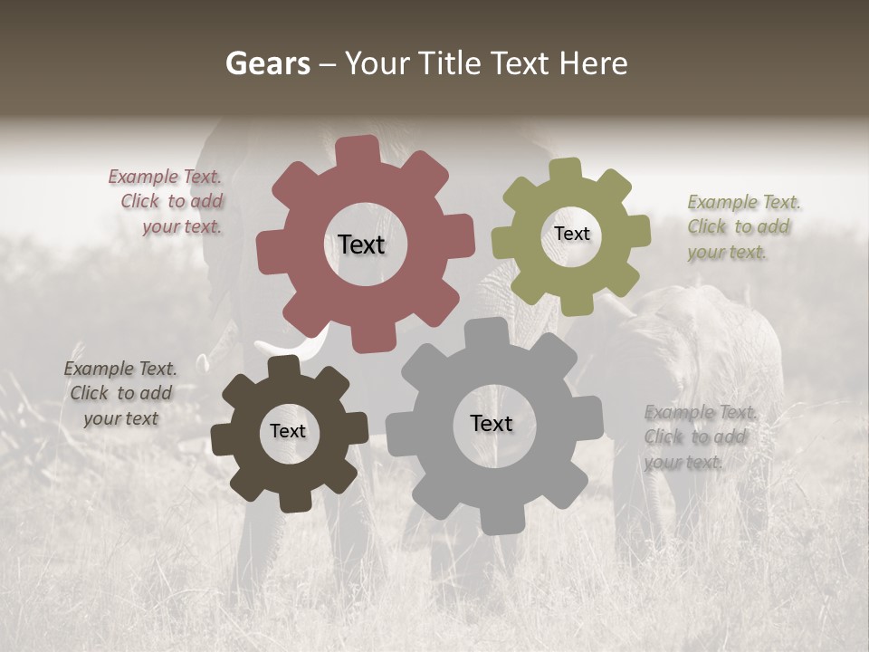 Mammifero Seppia Avorio PowerPoint Template