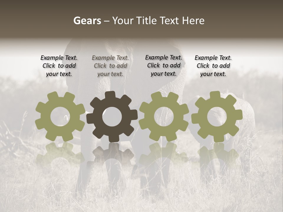 Mammifero Seppia Avorio PowerPoint Template