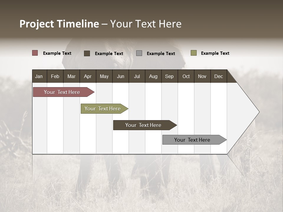 Mammifero Seppia Avorio PowerPoint Template