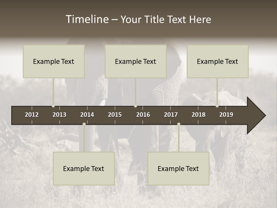 Mammifero Seppia Avorio PowerPoint Template