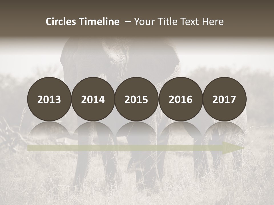 Mammifero Seppia Avorio PowerPoint Template