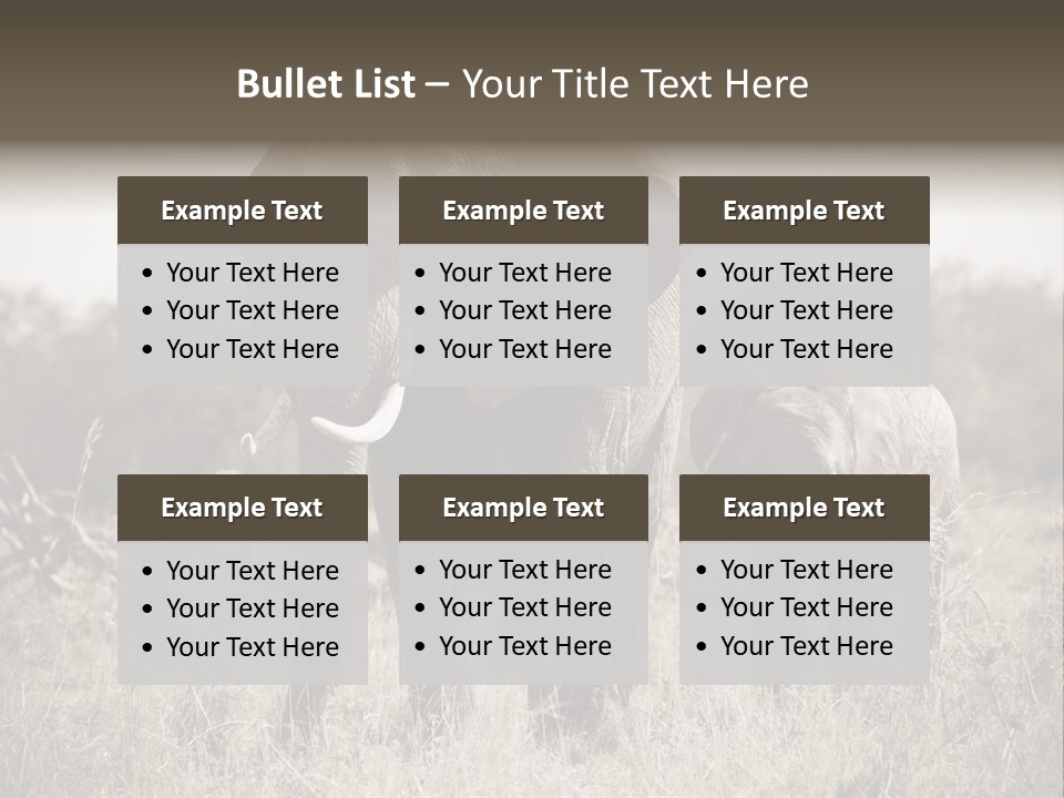 Mammifero Seppia Avorio PowerPoint Template