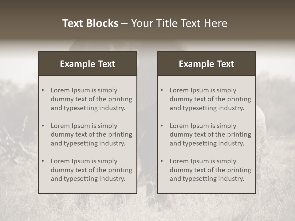 Mammifero Seppia Avorio PowerPoint Template