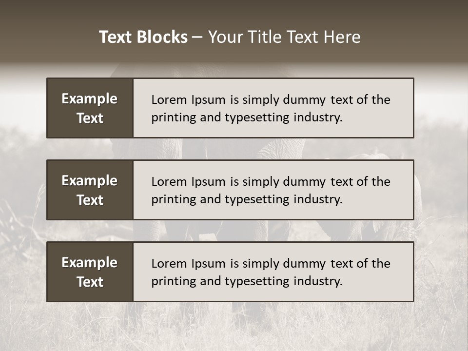 Mammifero Seppia Avorio PowerPoint Template