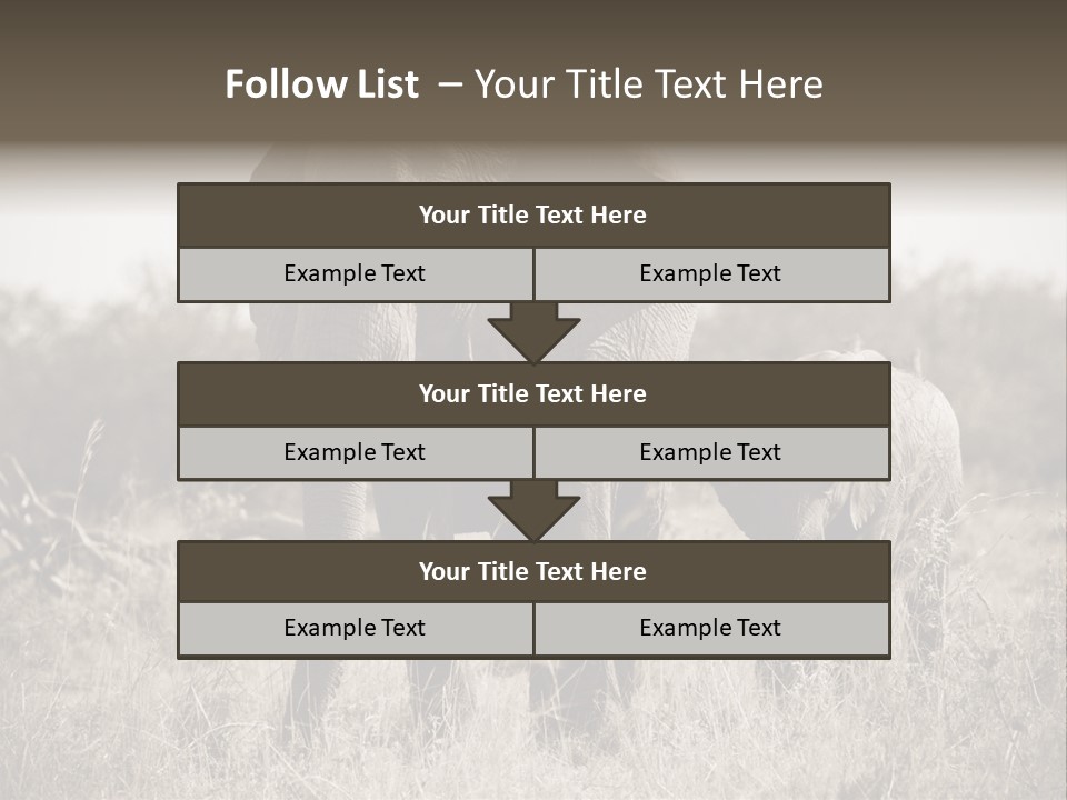Mammifero Seppia Avorio PowerPoint Template