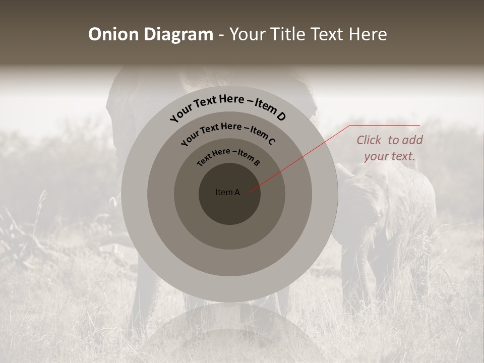 Mammifero Seppia Avorio PowerPoint Template