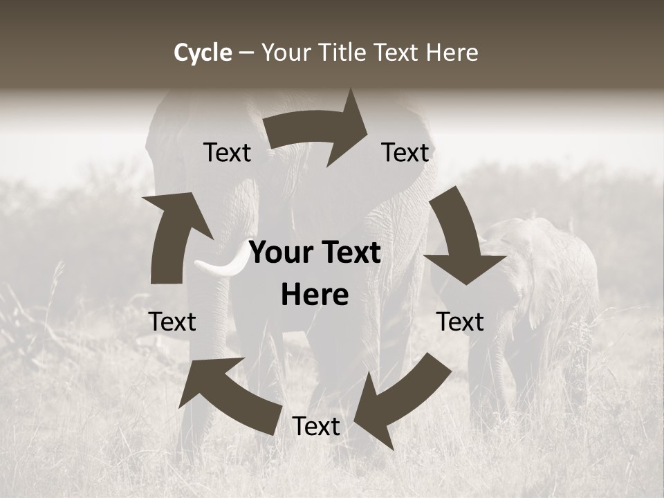 Mammifero Seppia Avorio PowerPoint Template