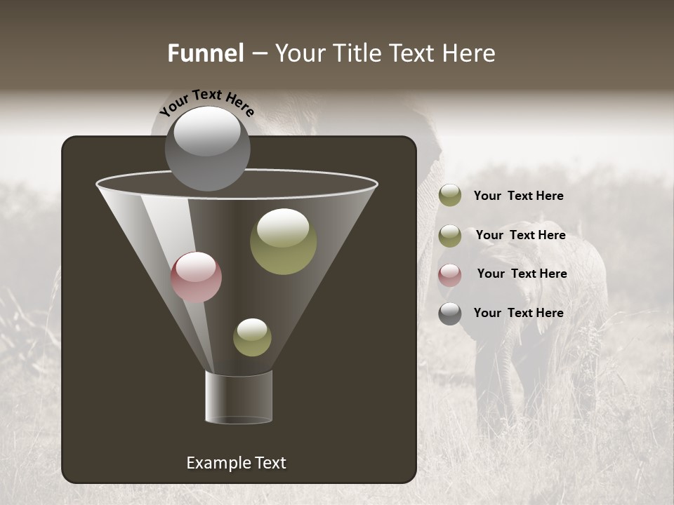 Mammifero Seppia Avorio PowerPoint Template