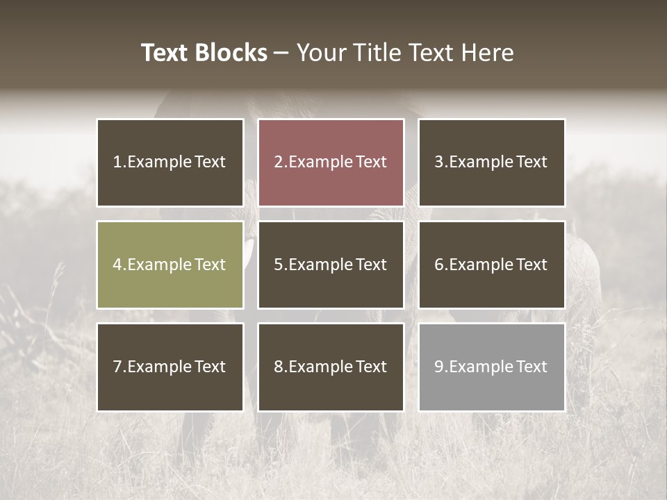 Mammifero Seppia Avorio PowerPoint Template