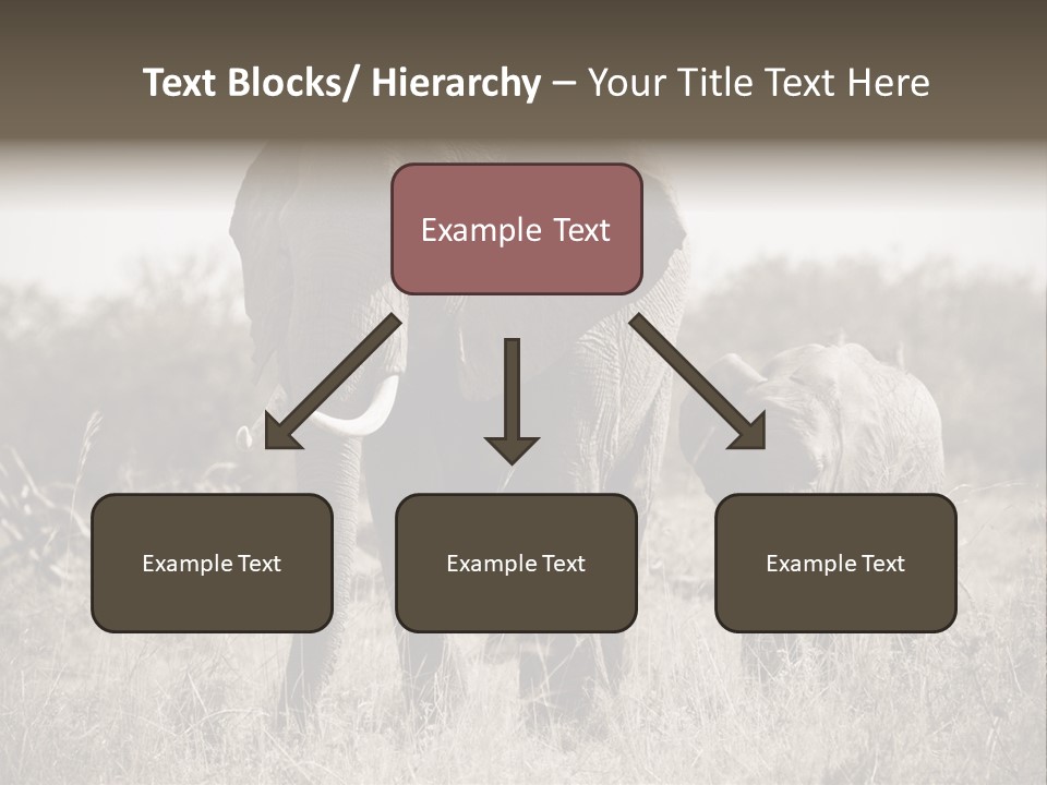 Mammifero Seppia Avorio PowerPoint Template