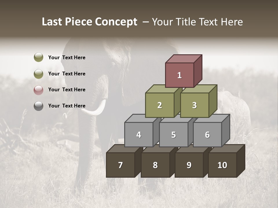 Mammifero Seppia Avorio PowerPoint Template