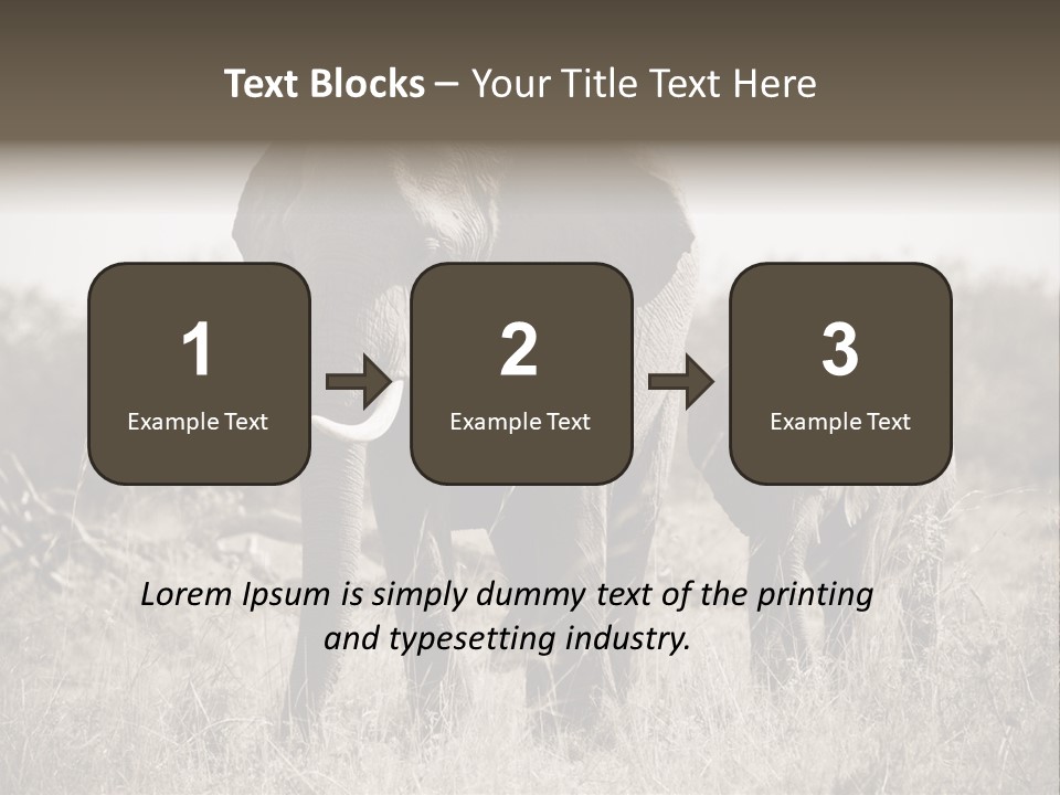 Mammifero Seppia Avorio PowerPoint Template