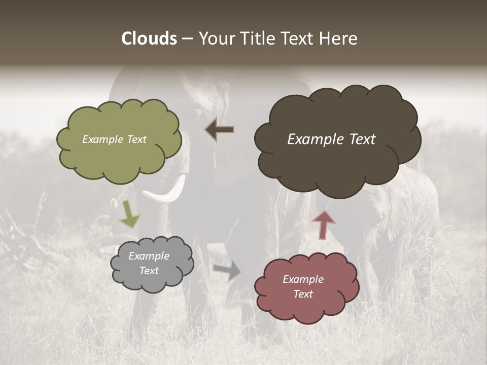 Mammifero Seppia Avorio PowerPoint Template