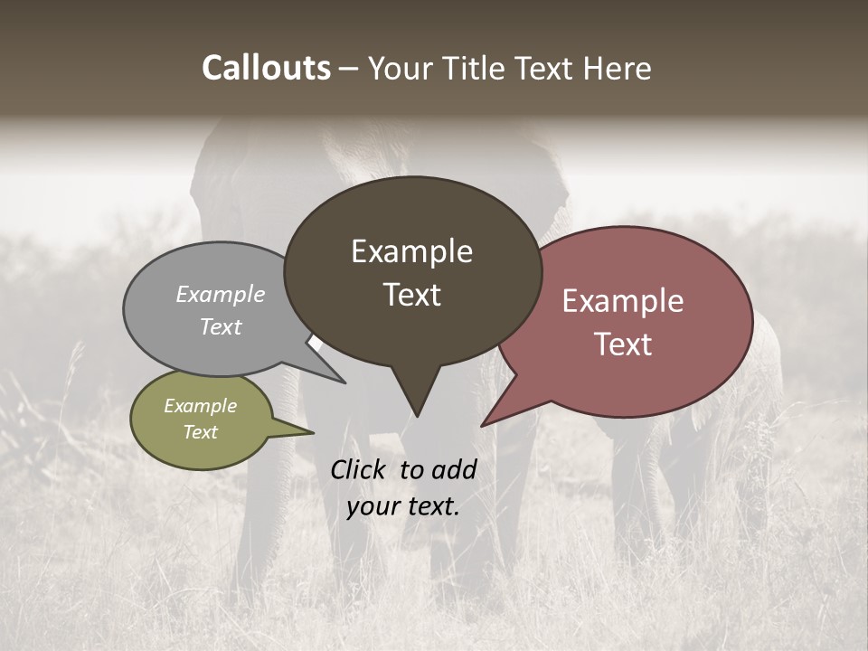 Mammifero Seppia Avorio PowerPoint Template