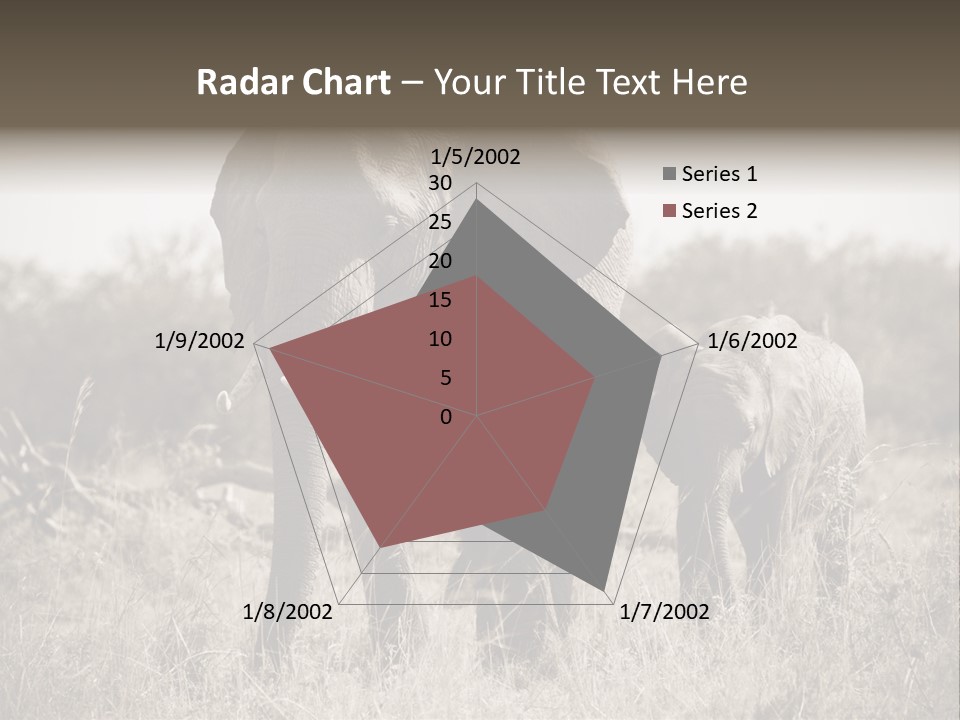 Mammifero Seppia Avorio PowerPoint Template