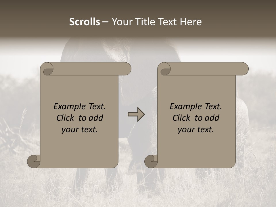 Mammifero Seppia Avorio PowerPoint Template