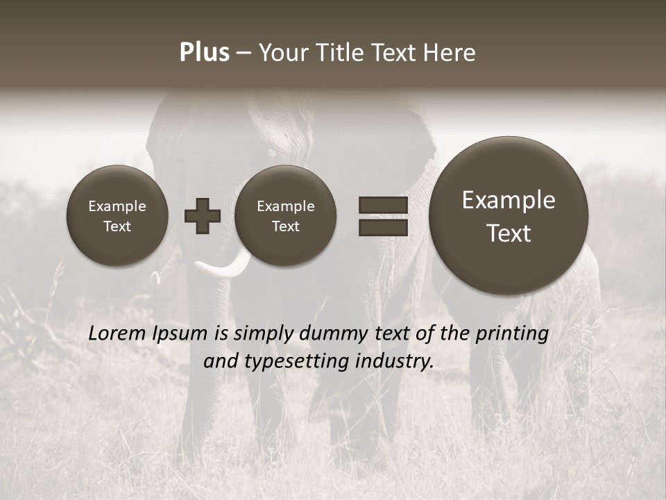 Mammifero Seppia Avorio PowerPoint Template