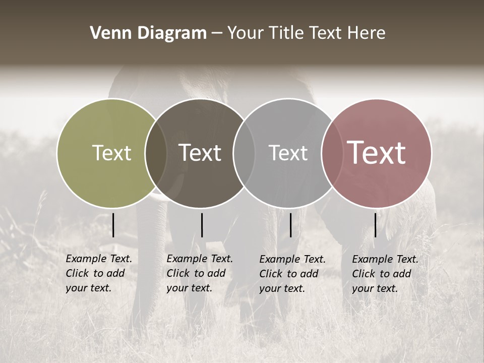 Mammifero Seppia Avorio PowerPoint Template