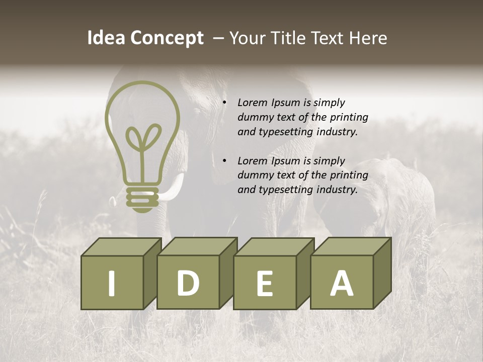 Mammifero Seppia Avorio PowerPoint Template