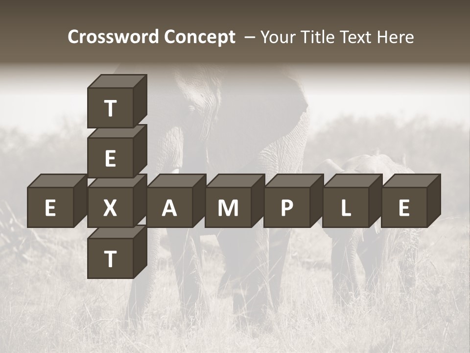 Mammifero Seppia Avorio PowerPoint Template