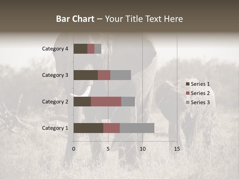 Mammifero Seppia Avorio PowerPoint Template