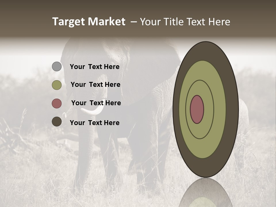 Mammifero Seppia Avorio PowerPoint Template