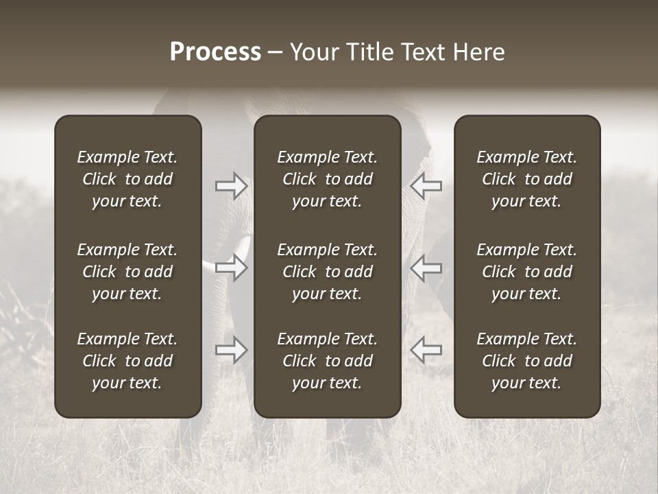 Mammifero Seppia Avorio PowerPoint Template