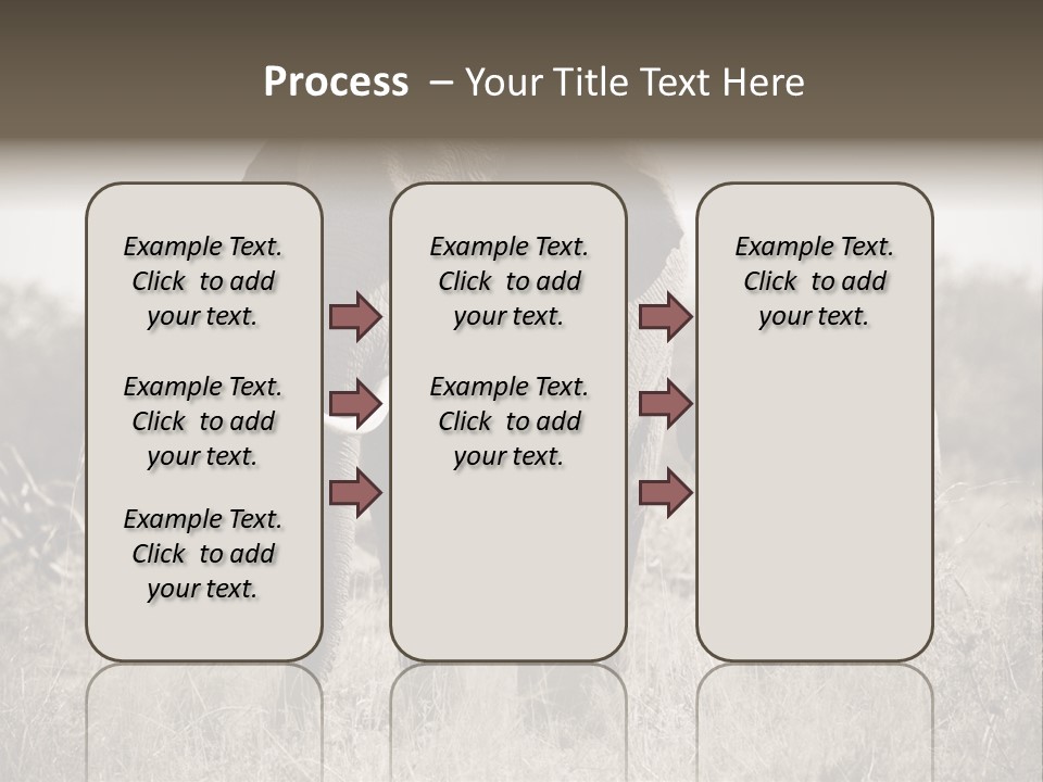 Mammifero Seppia Avorio PowerPoint Template