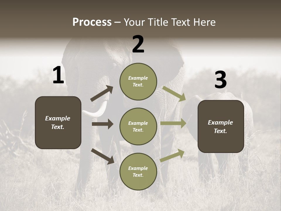 Mammifero Seppia Avorio PowerPoint Template