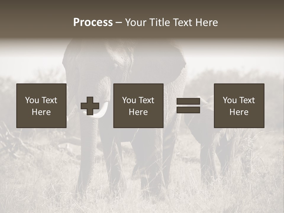 Mammifero Seppia Avorio PowerPoint Template