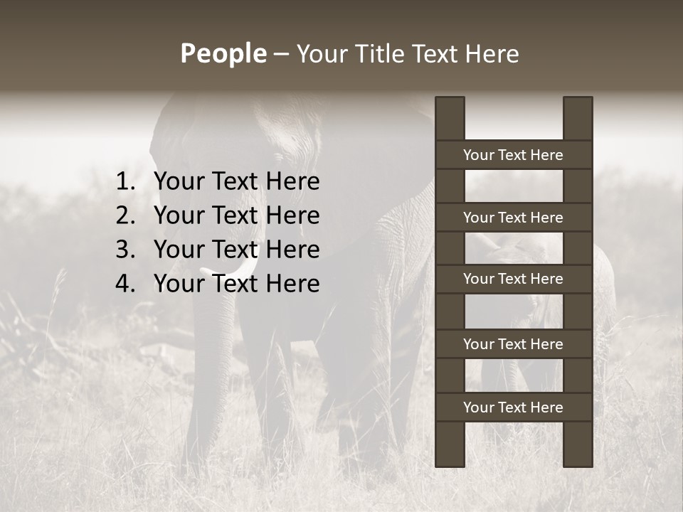 Mammifero Seppia Avorio PowerPoint Template