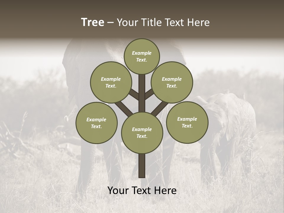 Mammifero Seppia Avorio PowerPoint Template